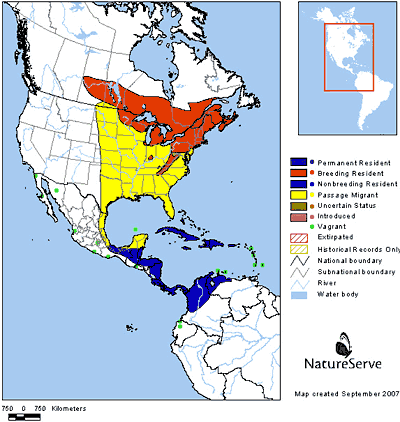 Chestnut-Sided Warbler Range Map