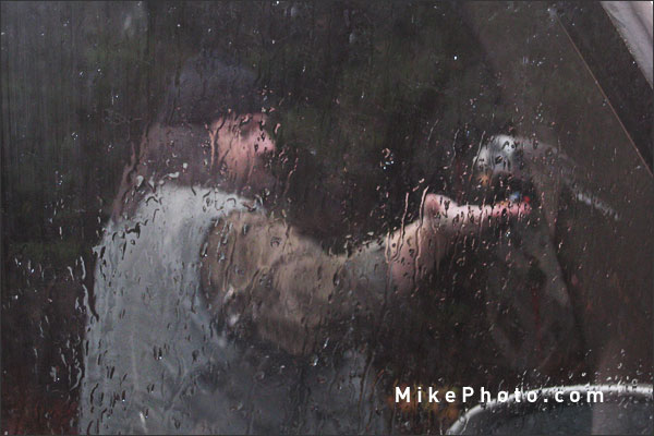 While raining, a Gray Jay in Algonquin Park is looking for a handout on Mike's hand