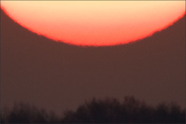 The Scorching Margins Of Our Sun - Point Pelee